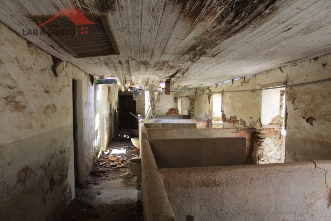 Quinta T20 para Venda em Gebelim e Soeima Foto 64