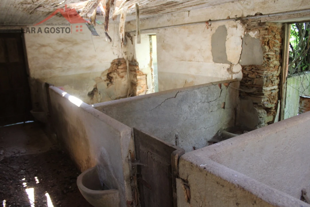 Quinta T20 para Venda em Gebelim e Soeima Foto 65