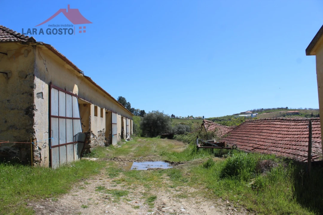 Quinta T20 para Venda em Gebelim e Soeima Foto 69