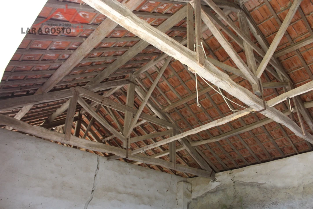 Quinta T20 para Venda em Gebelim e Soeima Foto 70