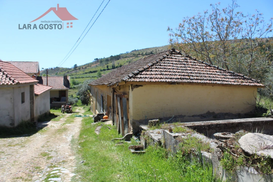 Quinta T20 para Venda em Gebelim e Soeima Foto 71