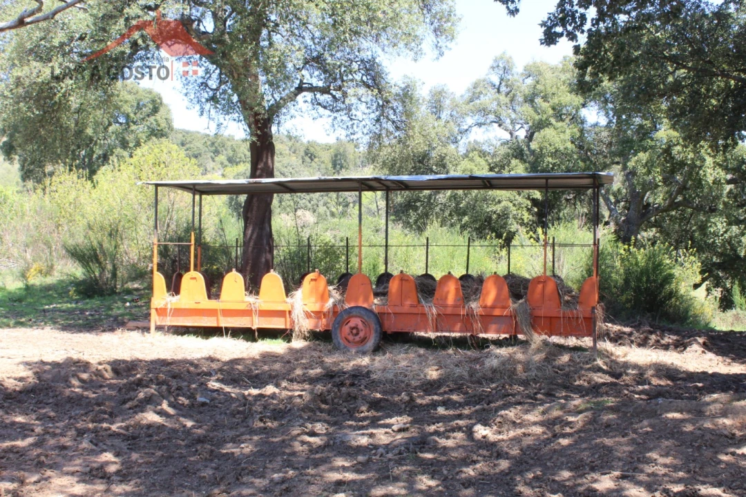 Quinta T20 para Venda em Gebelim e Soeima Foto 72