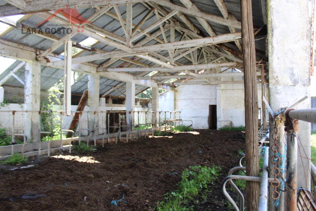 Quinta T20 para Venda em Gebelim e Soeima Foto 76