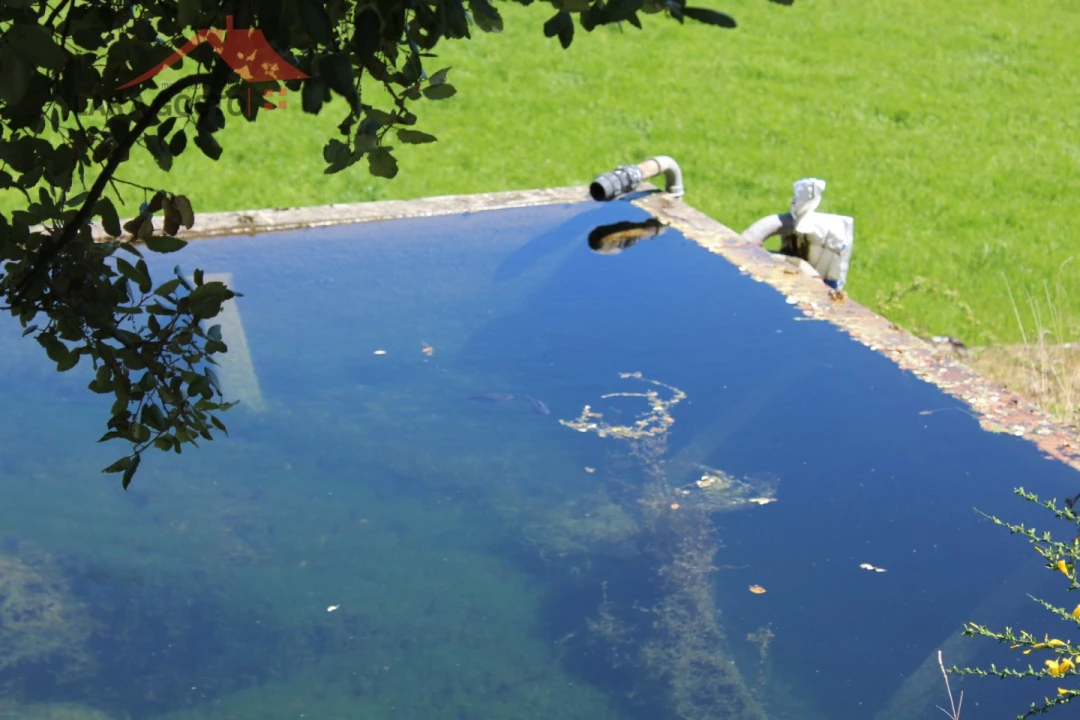 Quinta T20 para Venda em Gebelim e Soeima Foto 80