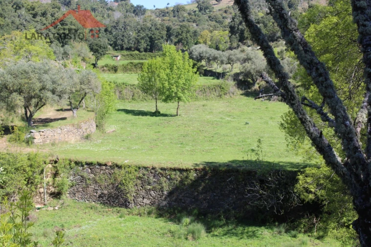 Quinta T20 para Venda em Gebelim e Soeima Foto 6