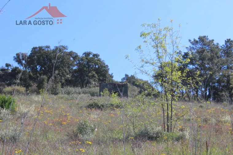 Quinta T20 para Venda em Gebelim e Soeima Foto 7