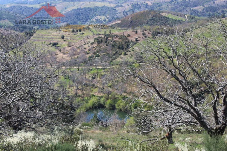 Quinta T20 para Venda em Gebelim e Soeima Foto 10