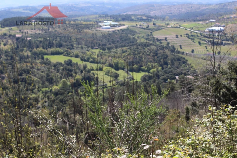 Quinta T20 para Venda em Gebelim e Soeima Foto 11
