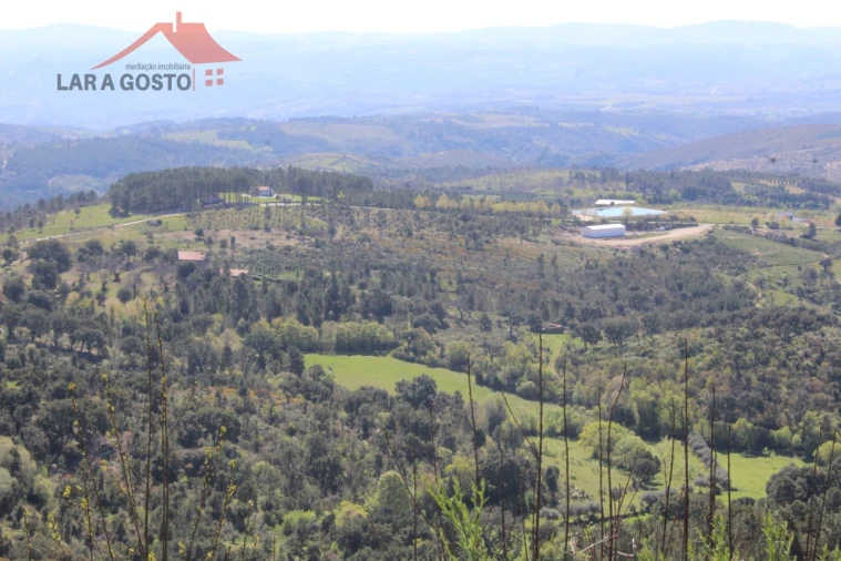 Quinta T20 para Venda em Gebelim e Soeima Foto 12