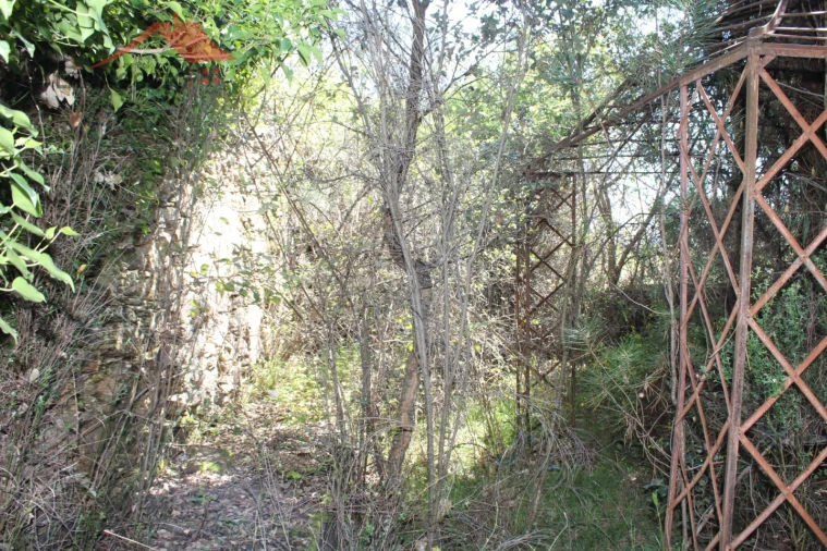 Quinta T20 para Venda em Gebelim e Soeima Foto 14