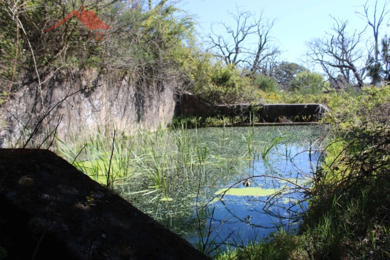 Quinta T20 para Venda em Gebelim e Soeima Foto 15