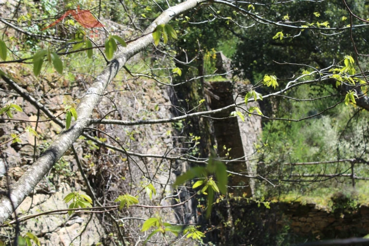 Quinta T20 para Venda em Gebelim e Soeima Foto 18