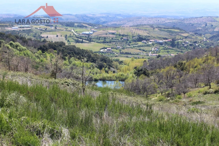 Quinta T20 para Venda em Gebelim e Soeima Foto 22
