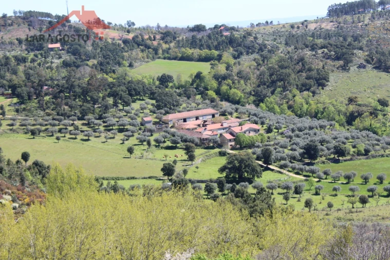 Quinta T20 para Venda em Gebelim e Soeima Foto 1