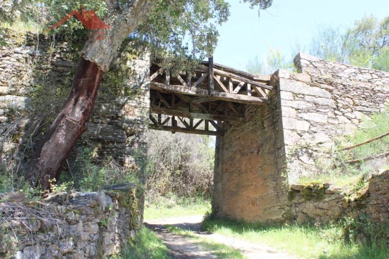 Quinta T20 para Venda em Gebelim e Soeima Foto 20