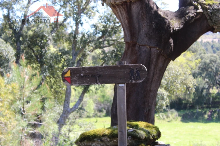 Quinta T20 para Venda em Gebelim e Soeima Foto 23