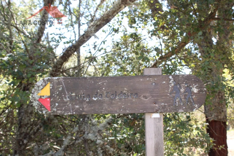 Quinta T20 para Venda em Gebelim e Soeima Foto 25