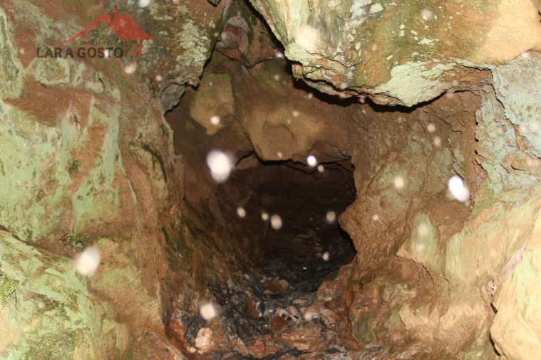 Quinta T20 para Venda em Gebelim e Soeima Foto 26