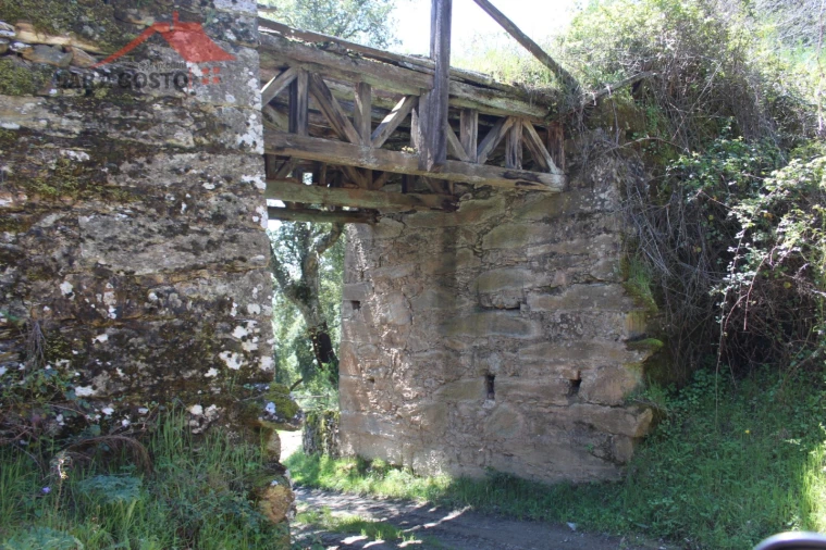 Quinta T20 para Venda em Gebelim e Soeima Foto 21