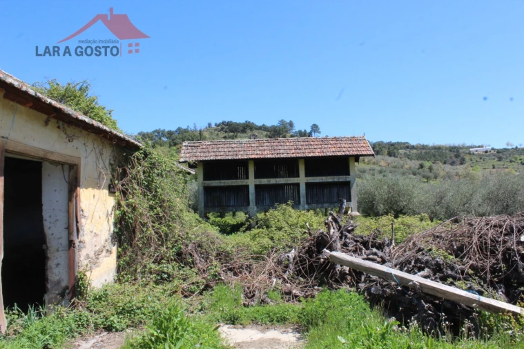 Quinta T20 para Venda em Gebelim e Soeima Foto 29