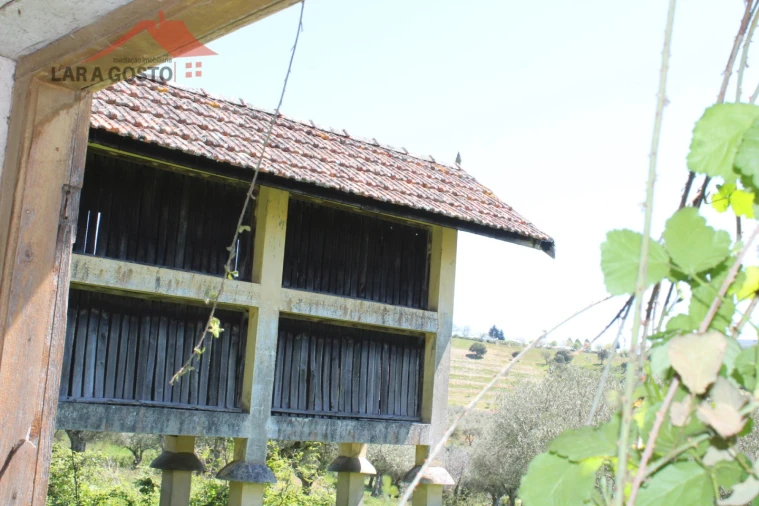 Quinta T20 para Venda em Gebelim e Soeima Foto 30