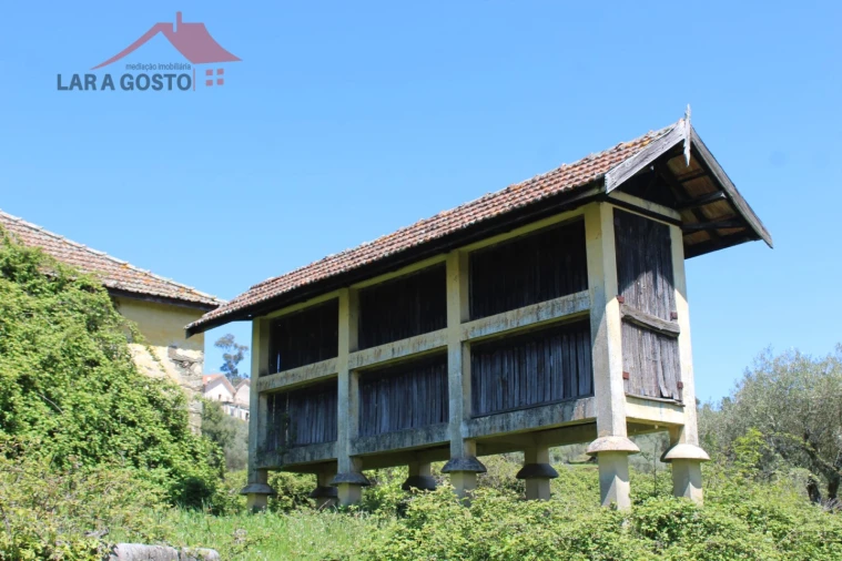 Quinta T20 para Venda em Gebelim e Soeima Foto 31