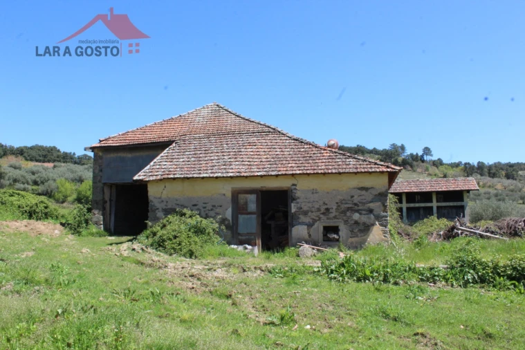 Quinta T20 para Venda em Gebelim e Soeima Foto 32