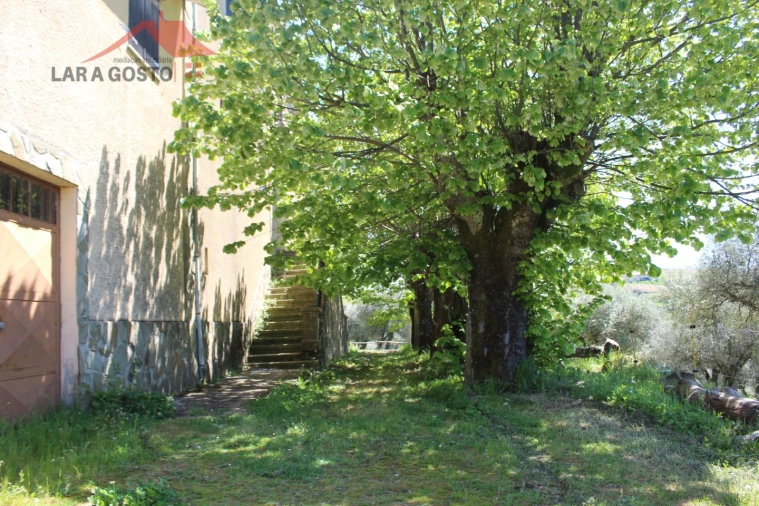 Quinta T20 para Venda em Gebelim e Soeima Foto 34