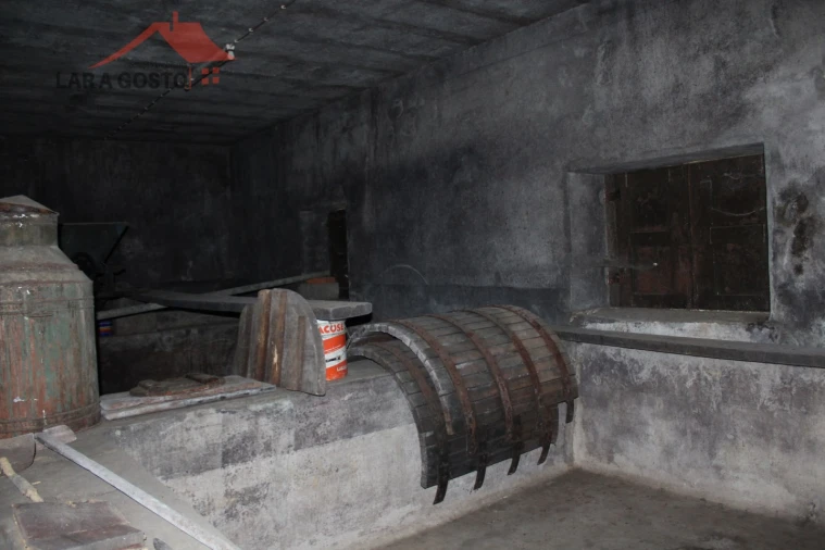 Quinta T20 para Venda em Gebelim e Soeima Foto 38