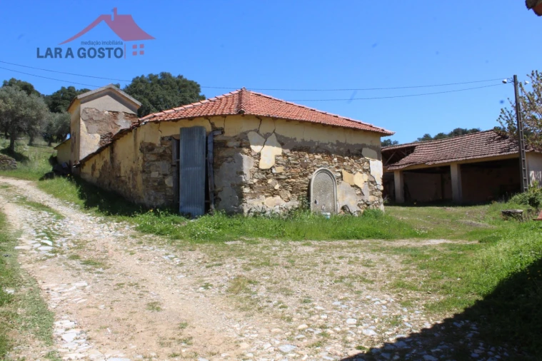 Quinta T20 para Venda em Gebelim e Soeima Foto 51