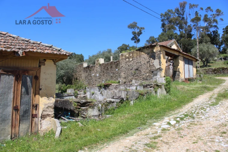 Quinta T20 para Venda em Gebelim e Soeima Foto 52