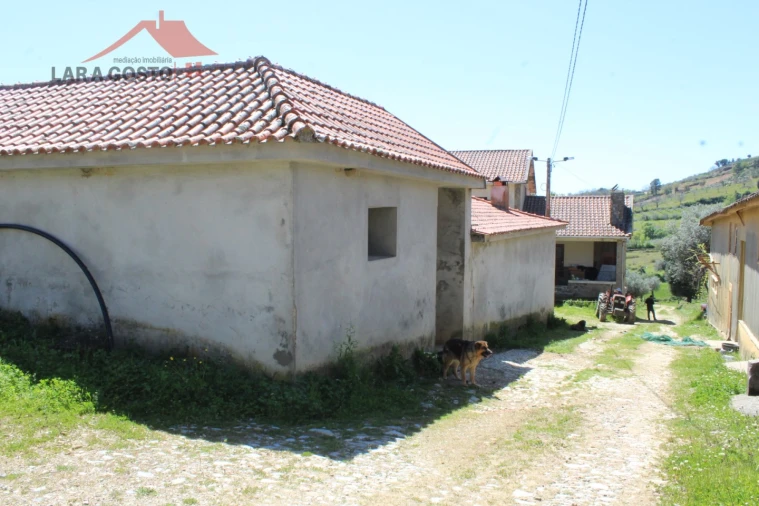 Quinta T20 para Venda em Gebelim e Soeima Foto 54