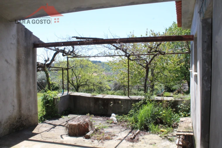 Quinta T20 para Venda em Gebelim e Soeima Foto 55