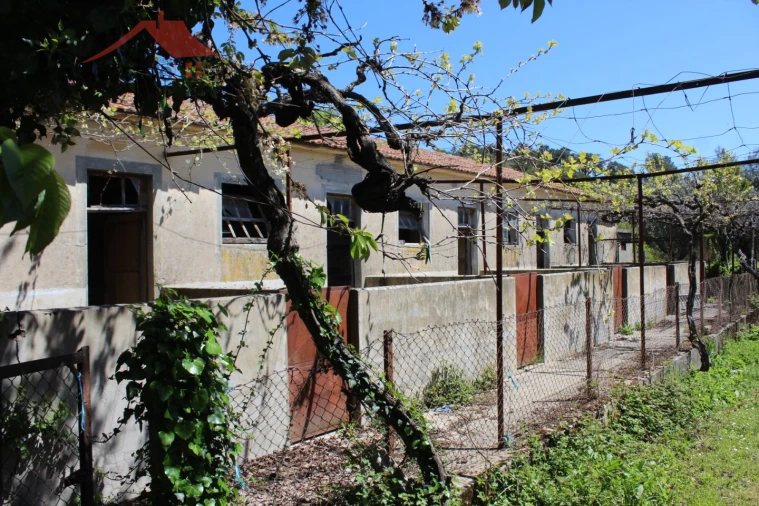 Quinta T20 para Venda em Gebelim e Soeima Foto 56