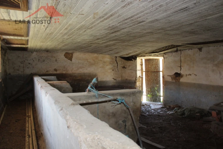 Quinta T20 para Venda em Gebelim e Soeima Foto 60