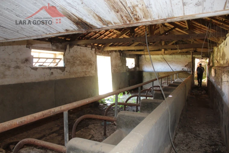 Quinta T20 para Venda em Gebelim e Soeima Foto 62