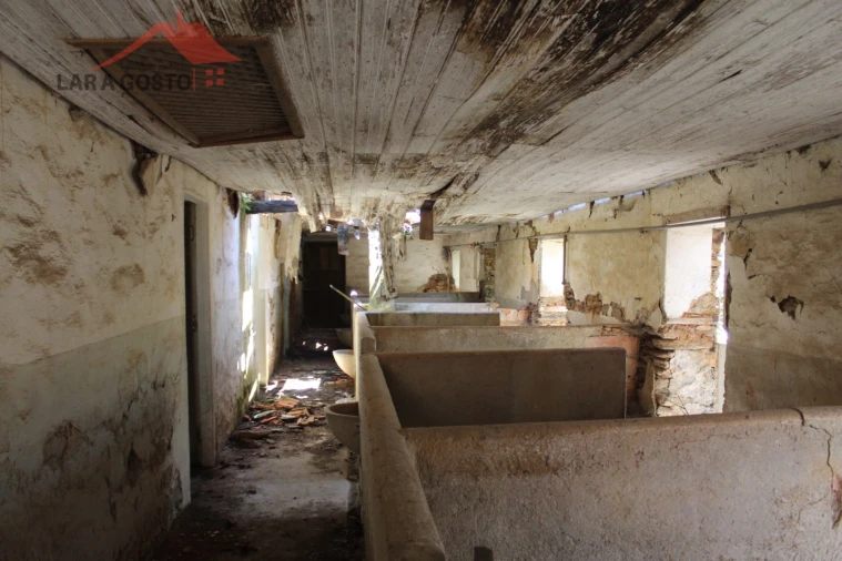 Quinta T20 para Venda em Gebelim e Soeima Foto 63