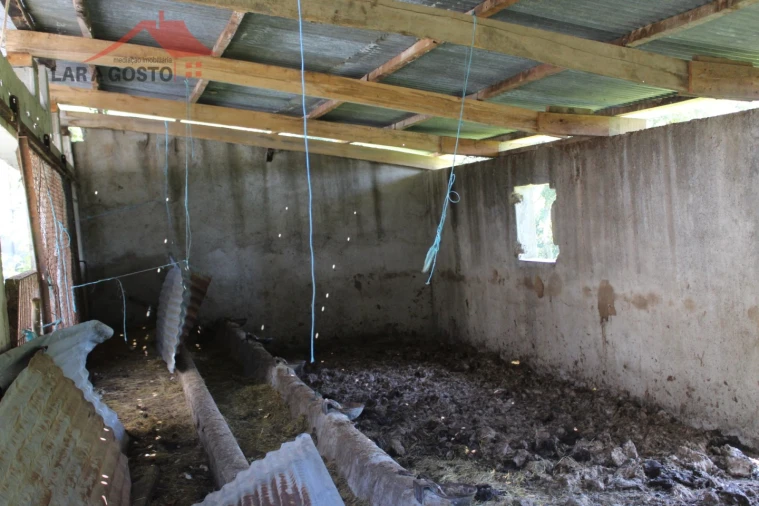 Quinta T20 para Venda em Gebelim e Soeima Foto 73