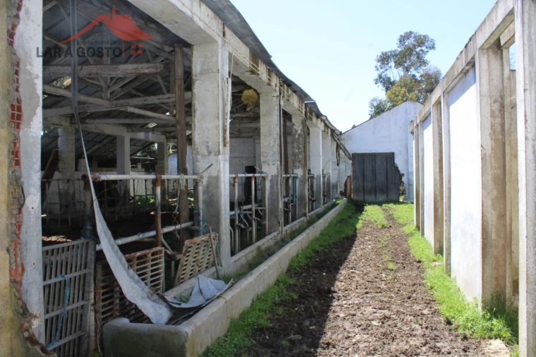 Quinta T20 para Venda em Gebelim e Soeima Foto 74