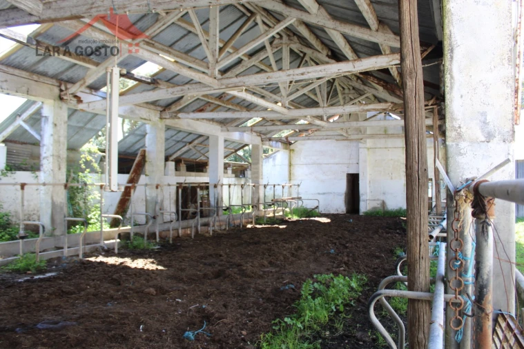 Quinta T20 para Venda em Gebelim e Soeima Foto 75