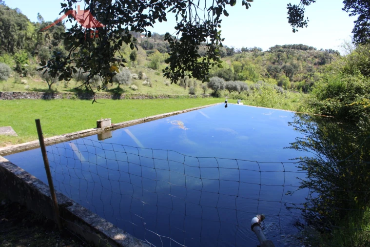 Quinta T20 para Venda em Gebelim e Soeima Foto 77