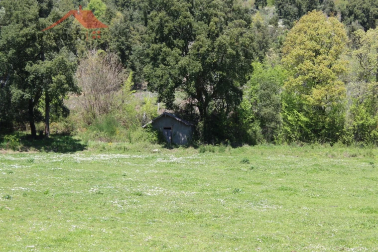 Quinta T20 para Venda em Gebelim e Soeima Foto 78
