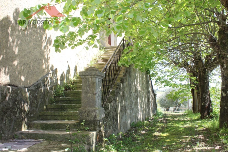 Quinta T20 para Venda em Gebelim e Soeima Foto 80