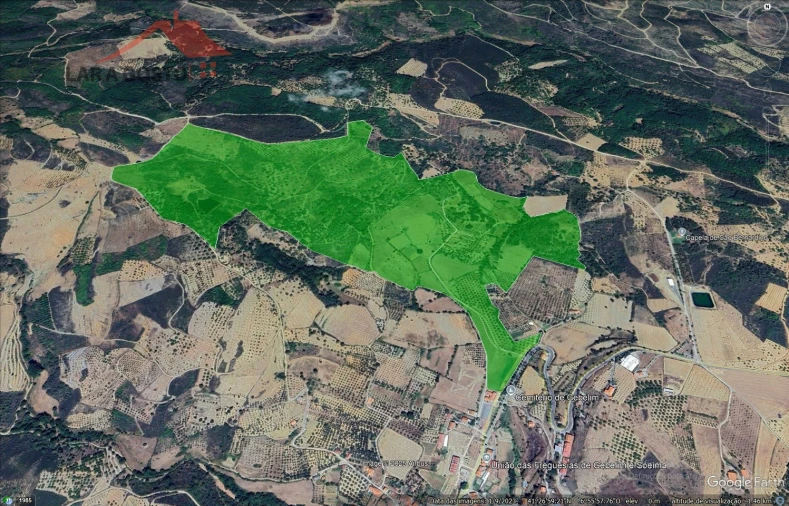 Quinta T20 para Venda em Gebelim e Soeima Foto 82