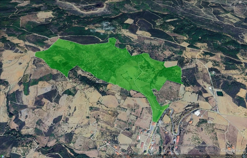 Quinta T20 para Venda em Gebelim e Soeima Planta 1