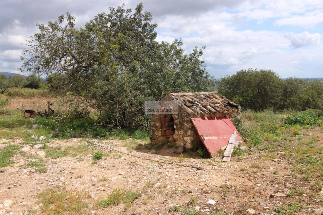 Terreno para Venda em Mexilhoeira Grande Foto 4