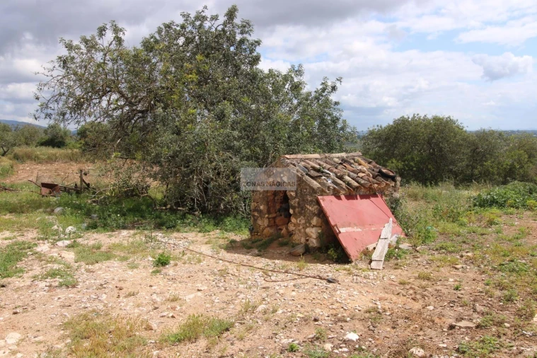 Terreno para Venda em Mexilhoeira Grande Foto 4