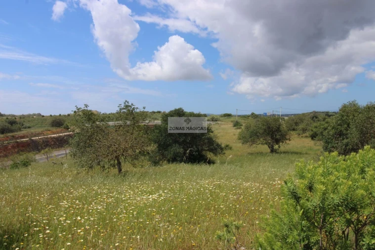 Terreno para Venda em Mexilhoeira Grande Foto 14