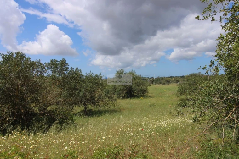 Terreno para Venda em Mexilhoeira Grande Foto 15