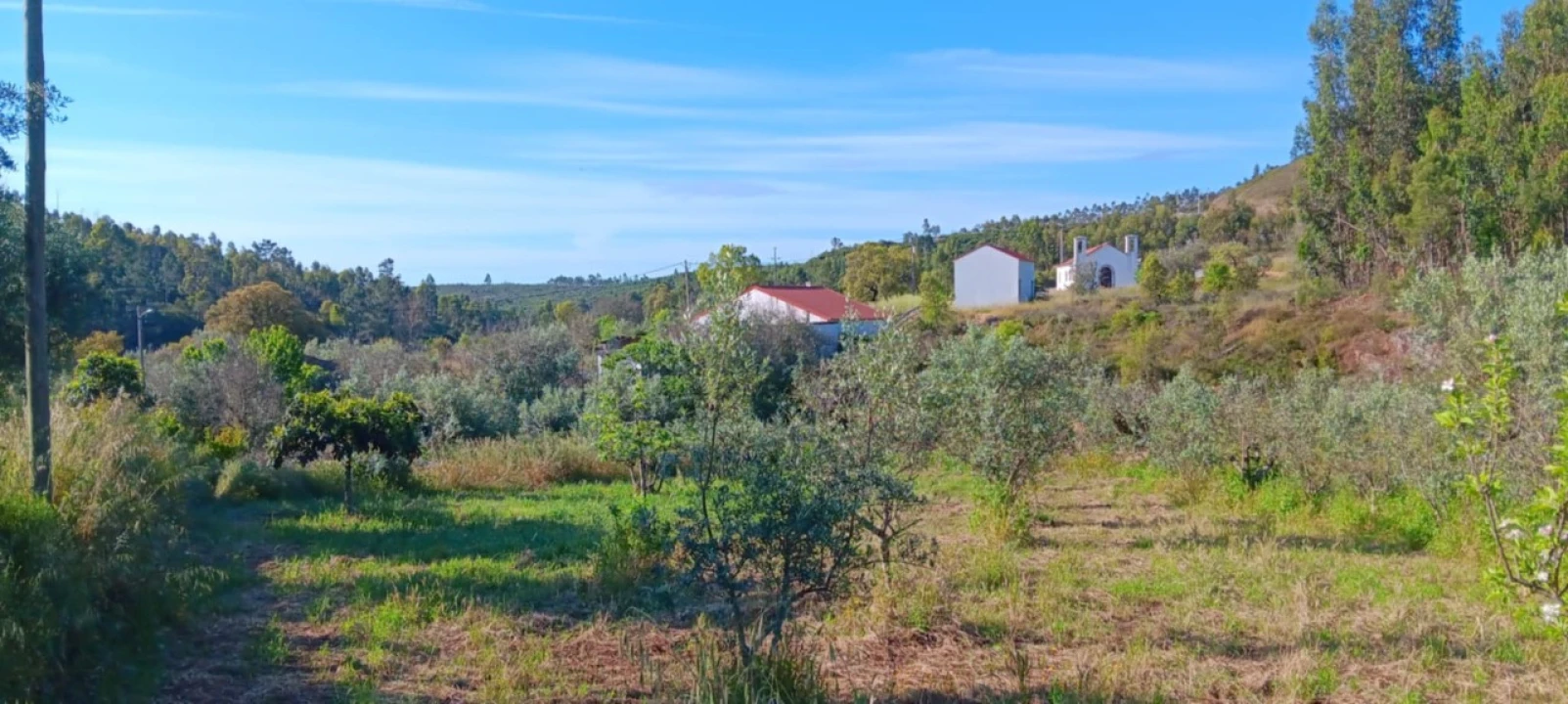Moradia T2 para Venda em Mação, Penhascoso e Aboboreira Foto 41